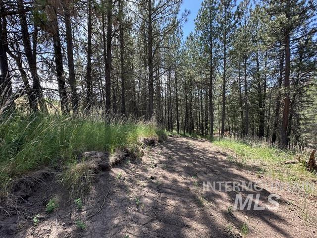 000 Parkins Rd A.k.a. Sumner Rd/canyon Rd Property Photo 27