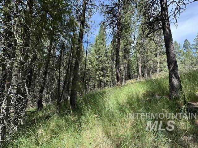 000 Parkins Rd A.k.a. Sumner Rd/canyon Rd Property Photo 30