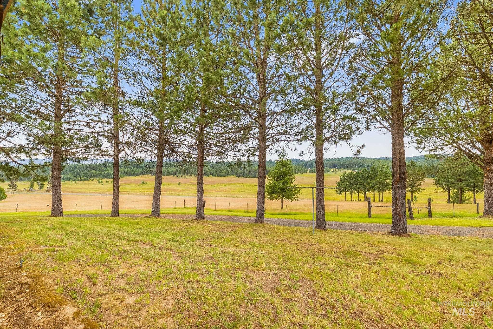500 Maxwell Lane Property Photo 7