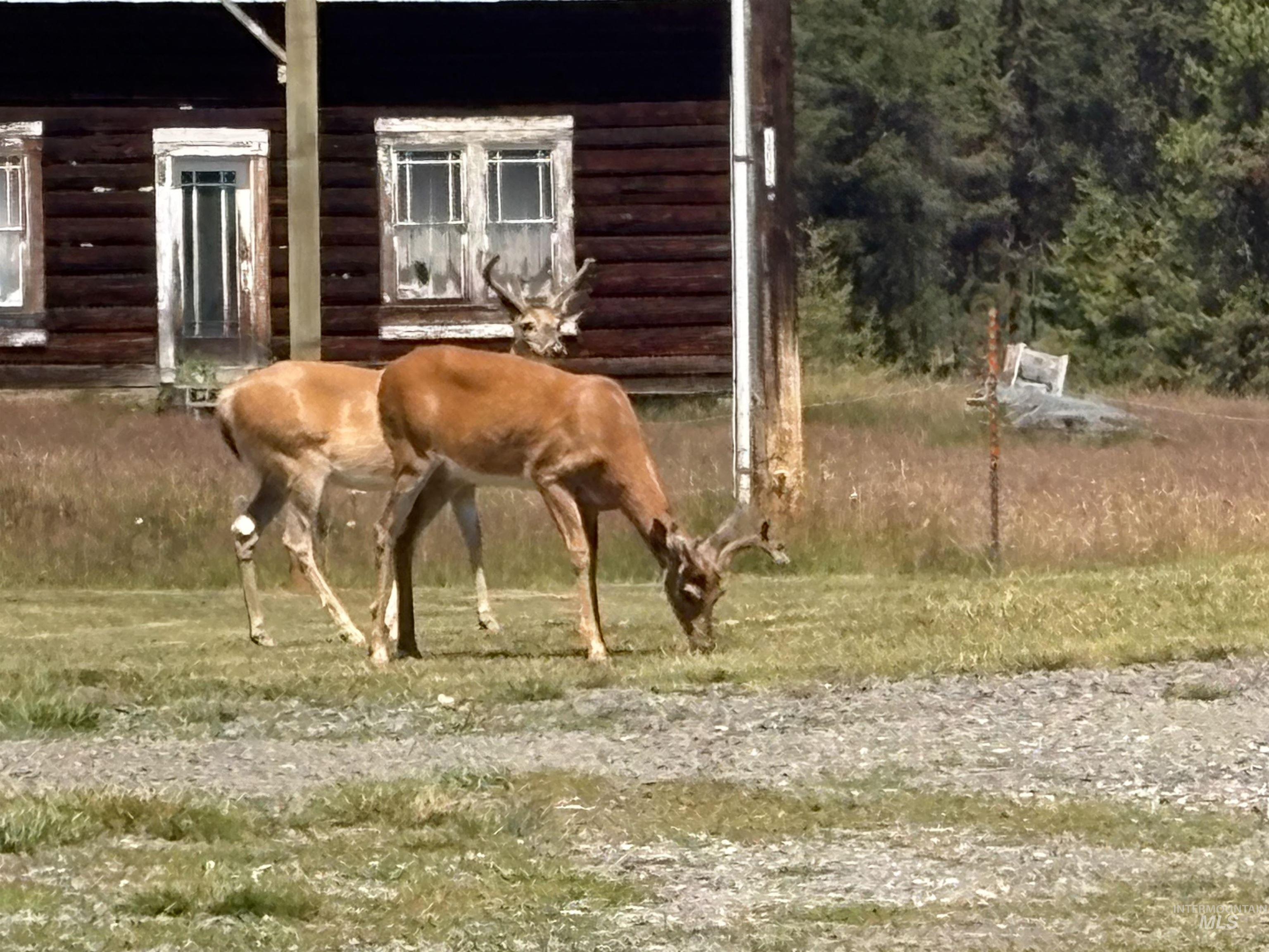 702 Maxwell Lane Property Photo 42