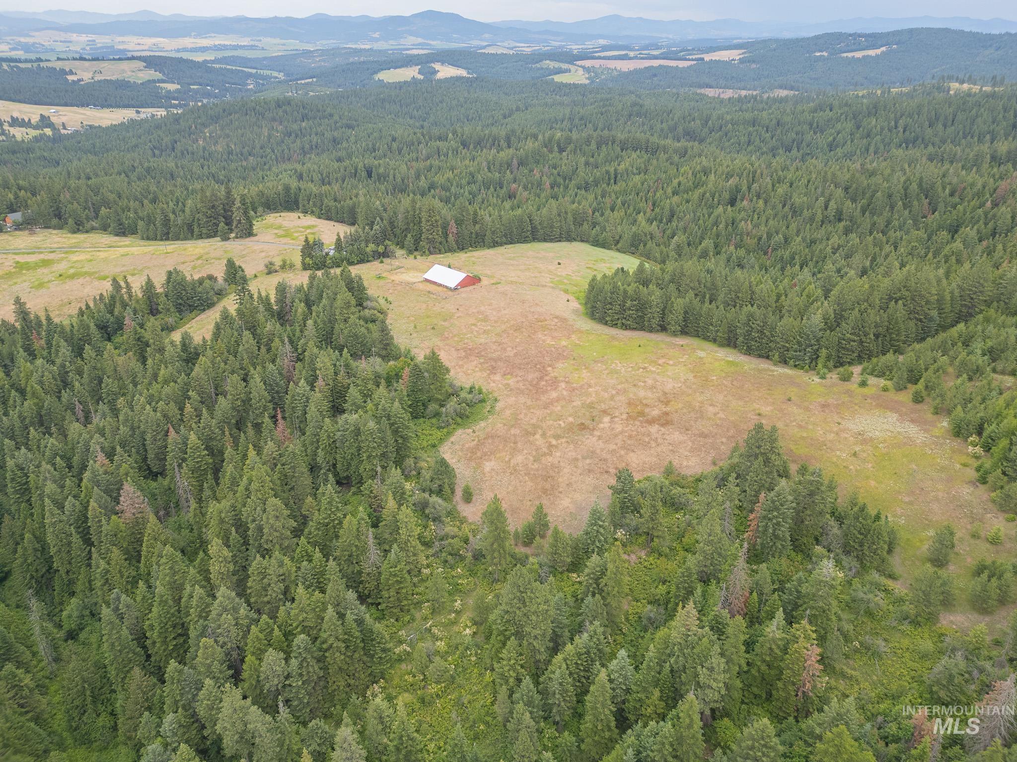 1011 Hall Rd. Property Photo 44