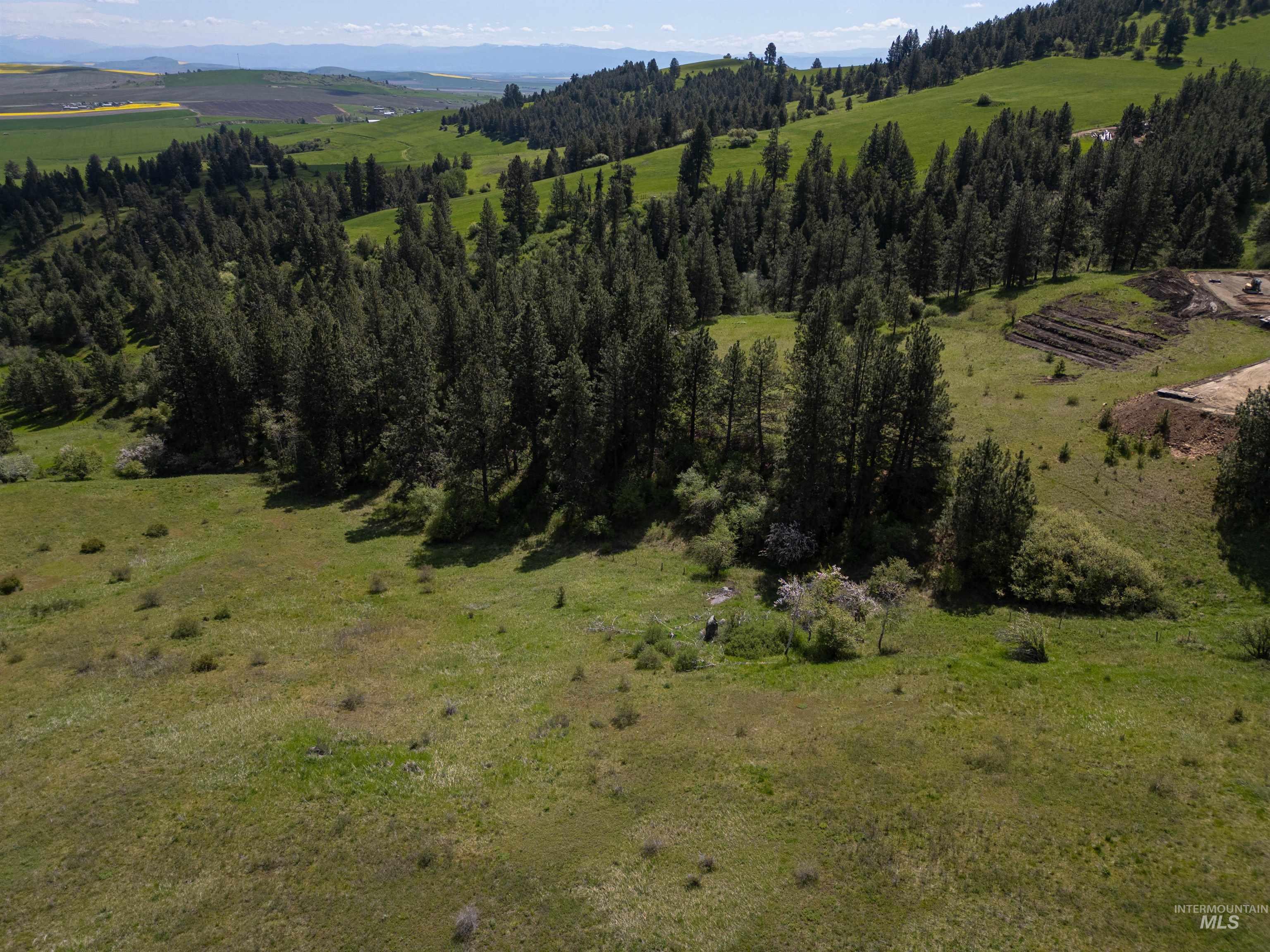 Tbd Riggin Road Property Photo 2