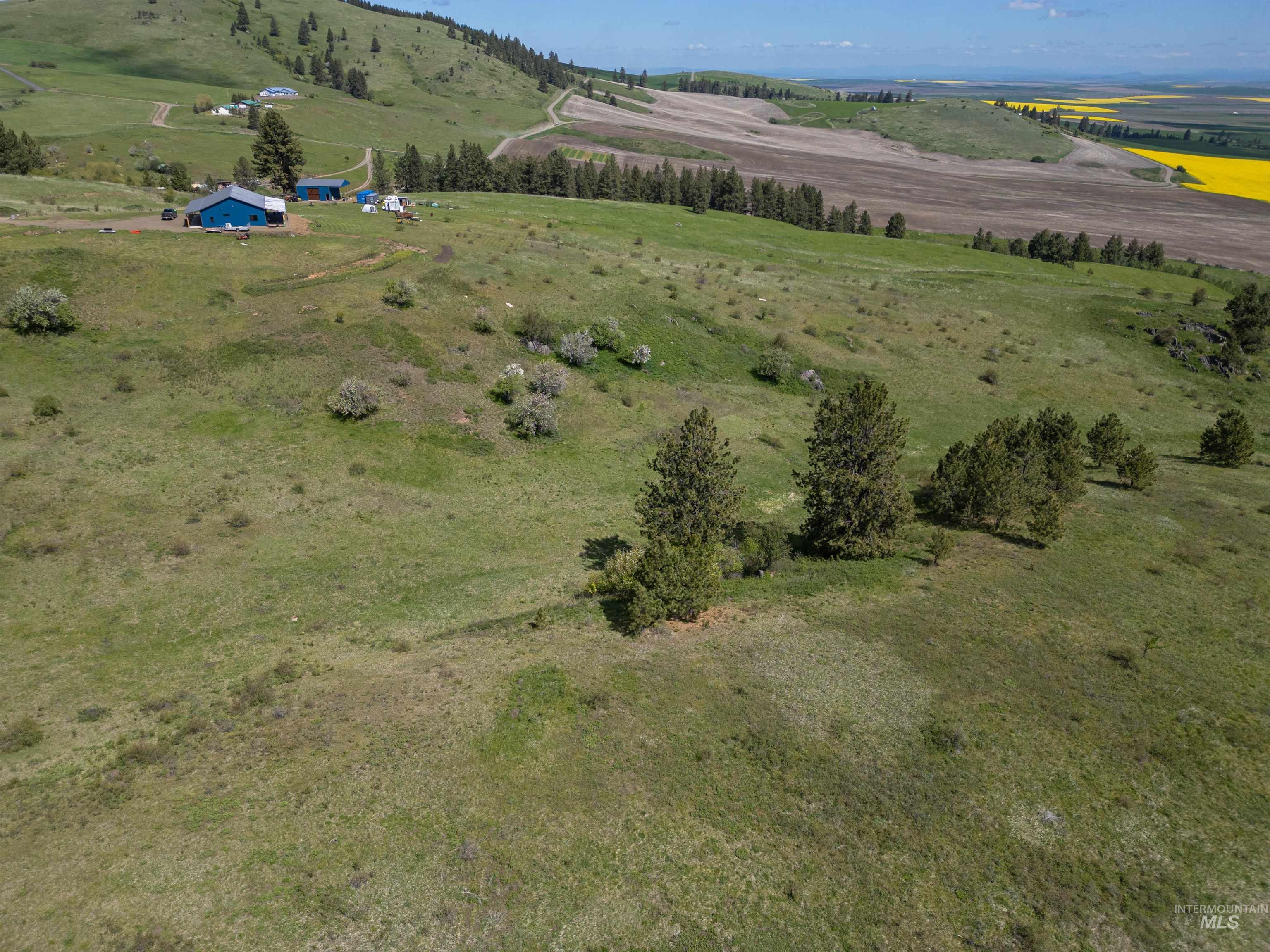 Tbd Riggin Road Property Photo 5