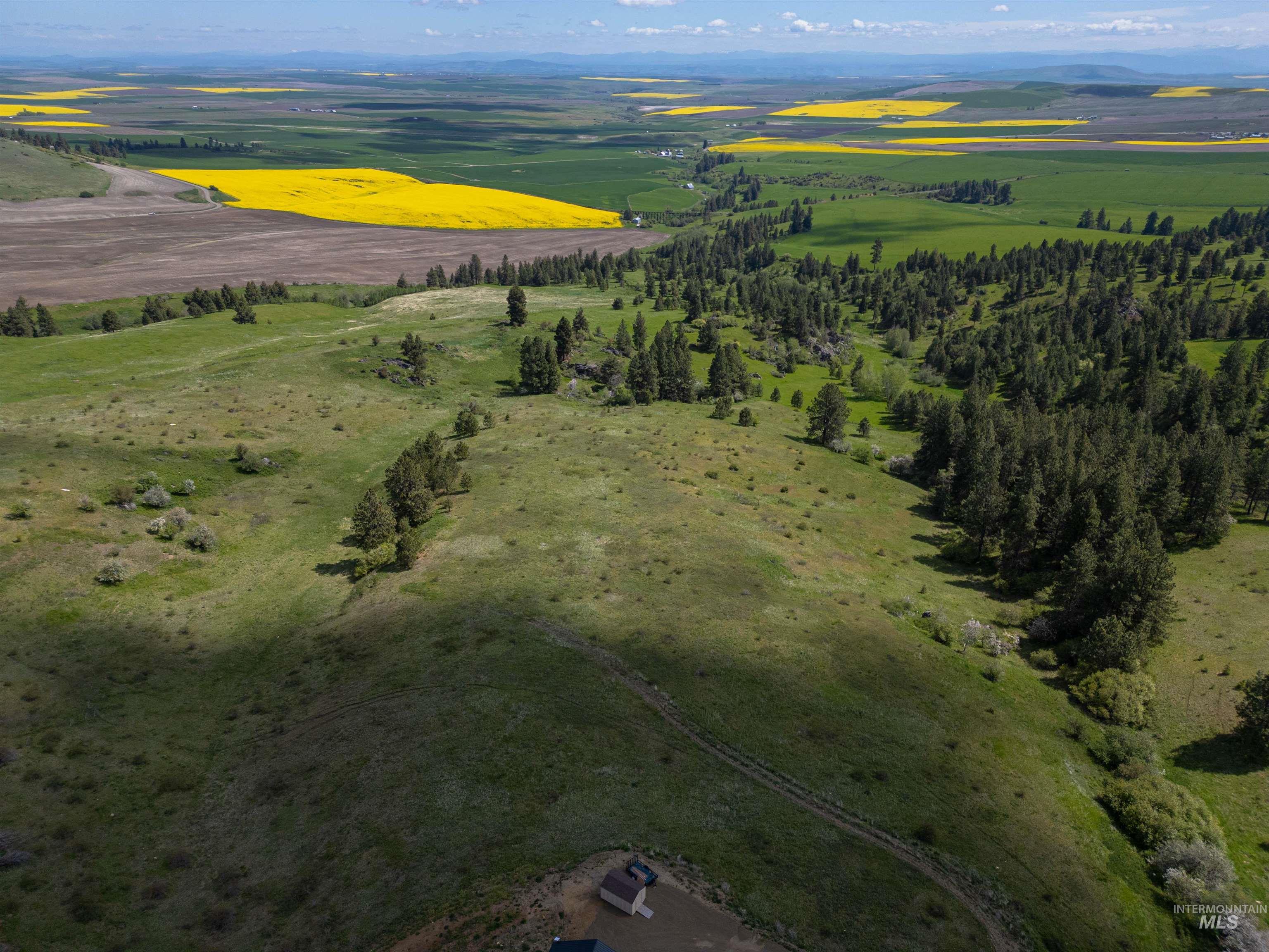 Tbd Riggin Road Property Photo 6
