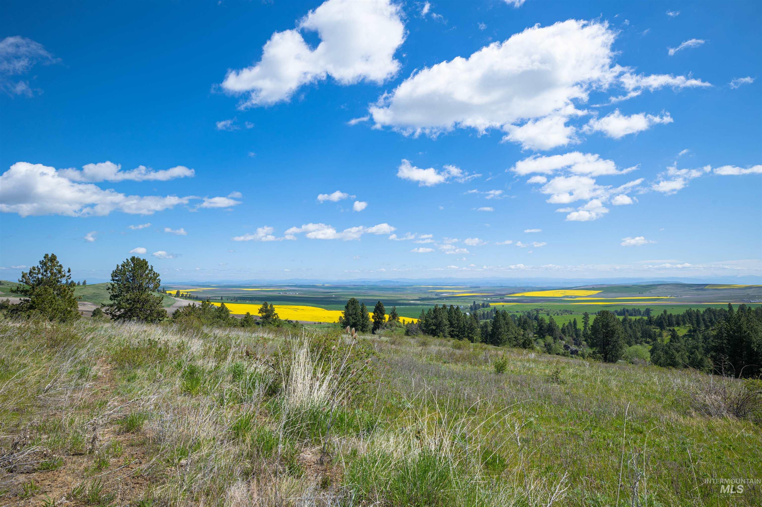 Tbd Riggin Road Property Photo 10