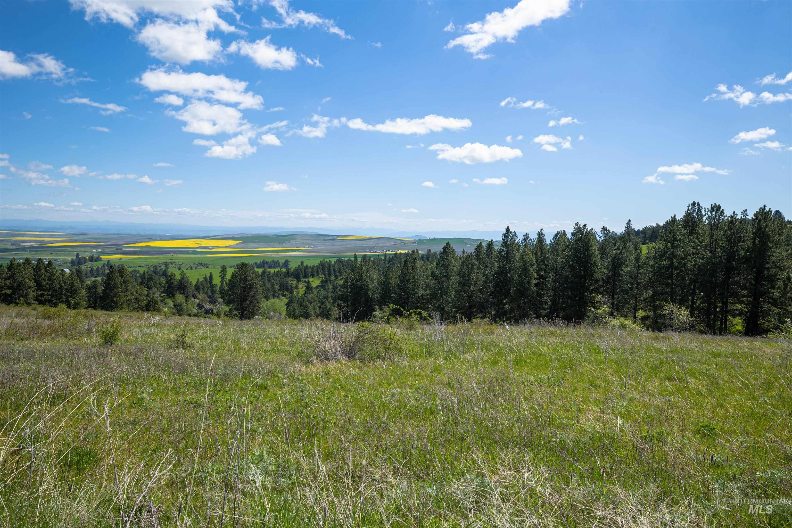 Tbd Riggin Road Property Photo 12