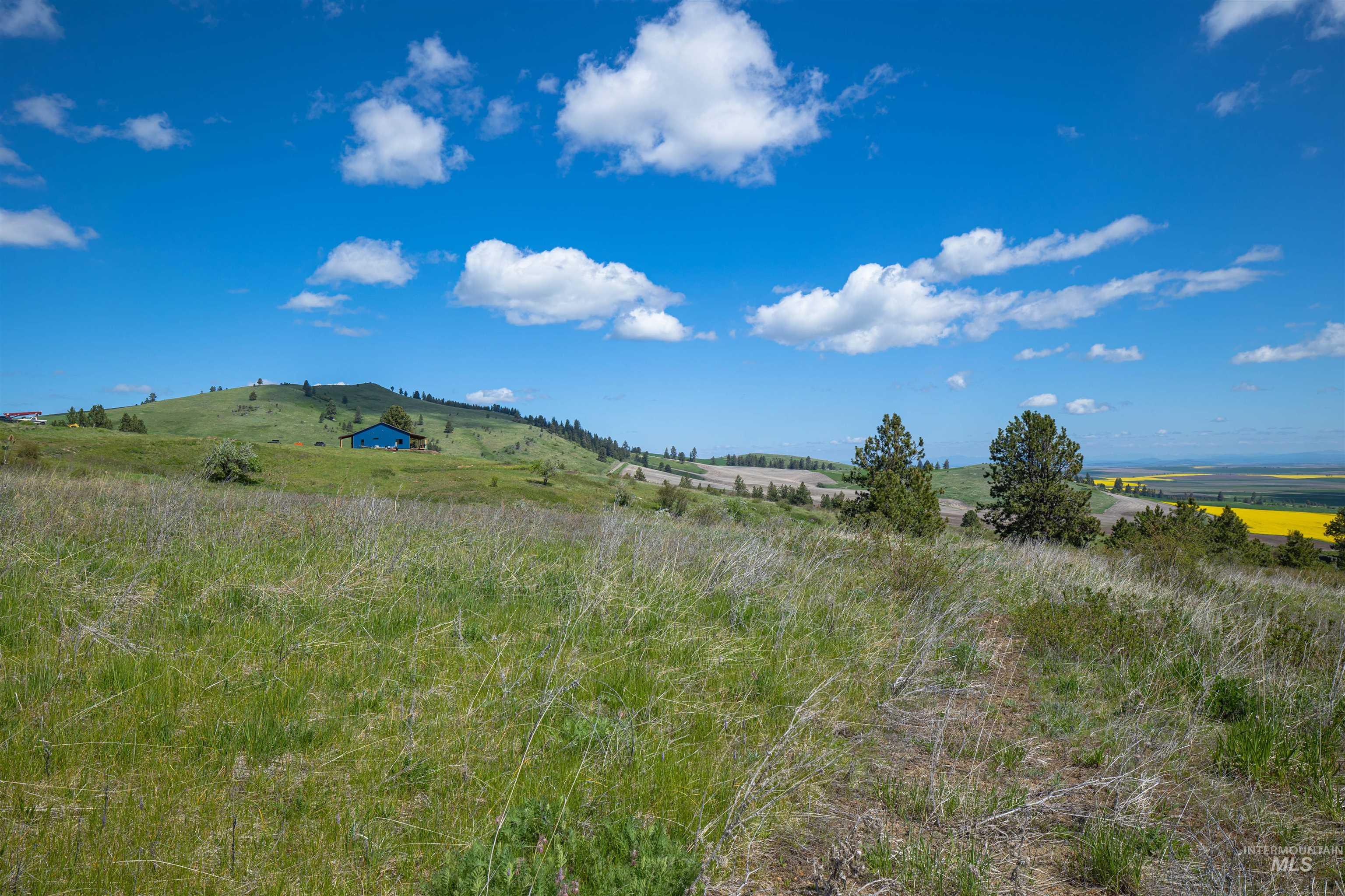 Tbd Riggin Road Property Photo 14