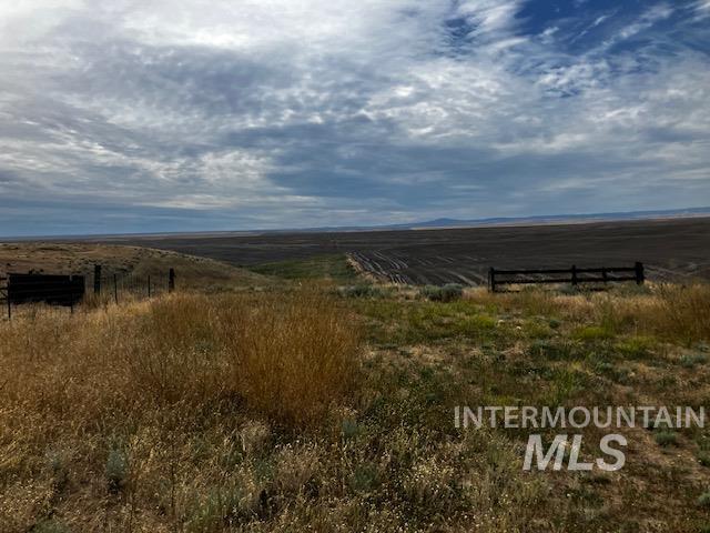 13047 Peola Road Property Photo 42