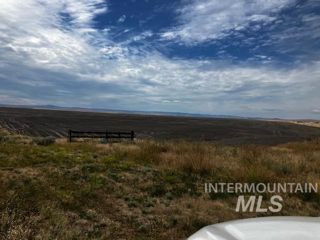 13047 Peola Road Property Photo 43