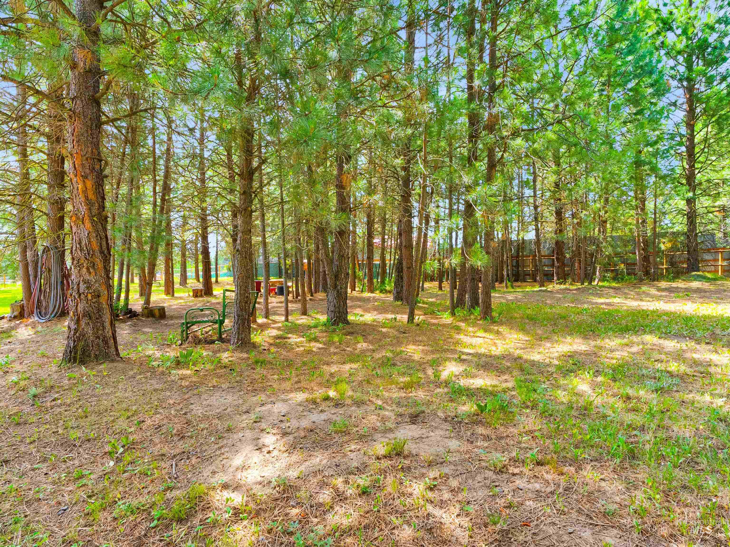 191 Bear Wallow Property Photo 36