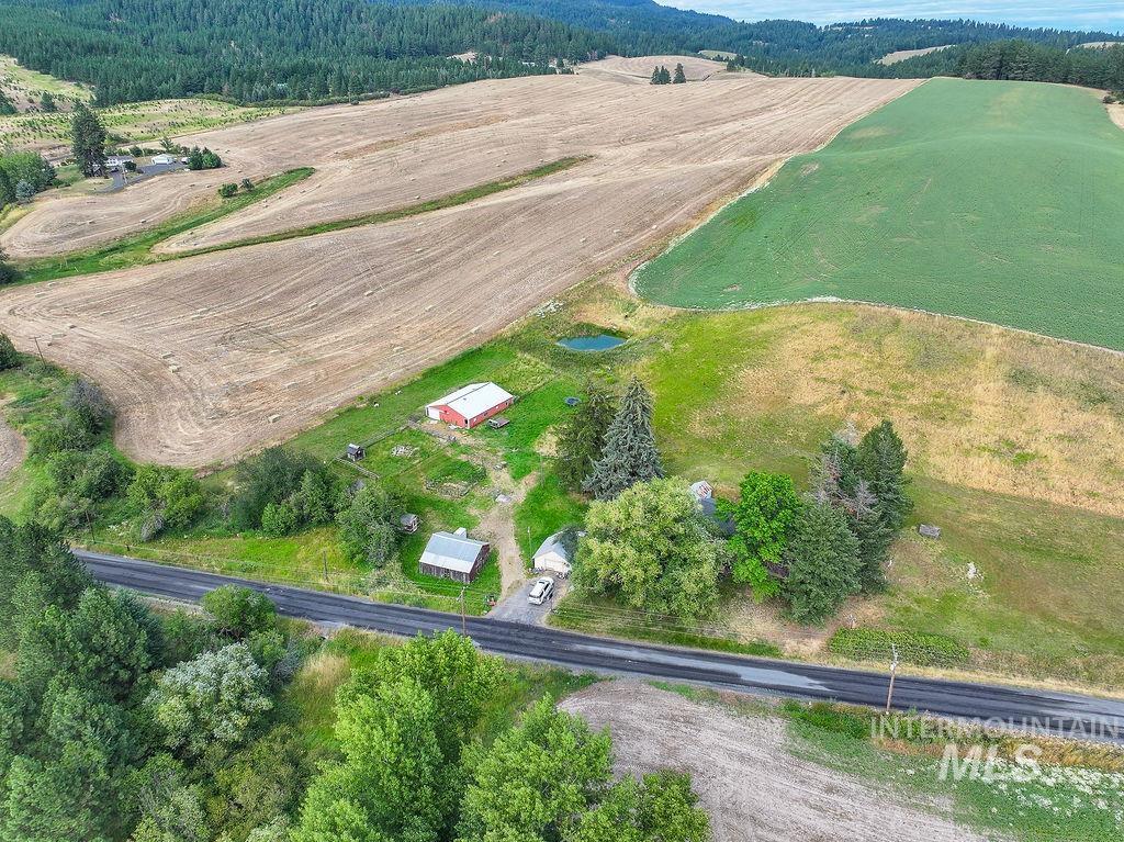 1094 Crumarine Loop Property Photo 4