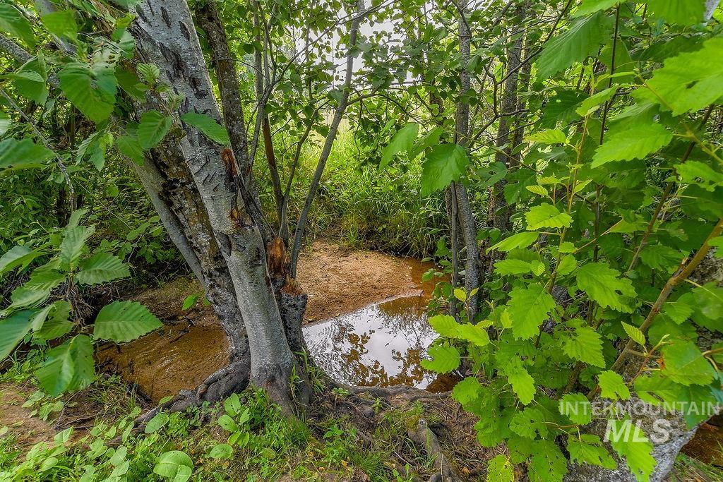 1094 Crumarine Loop Property Photo 39