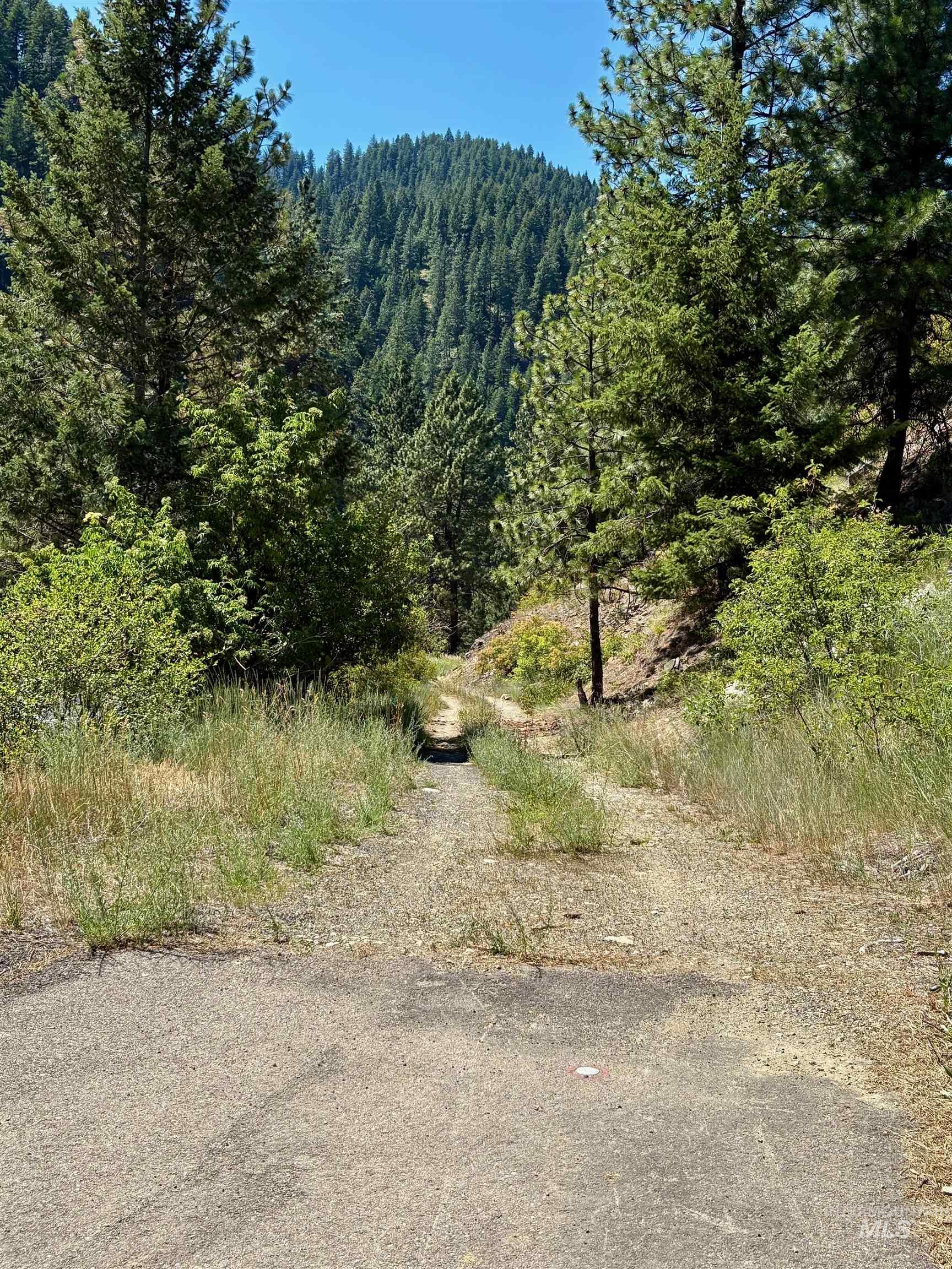 4966 Highway 95 Property Photo 6