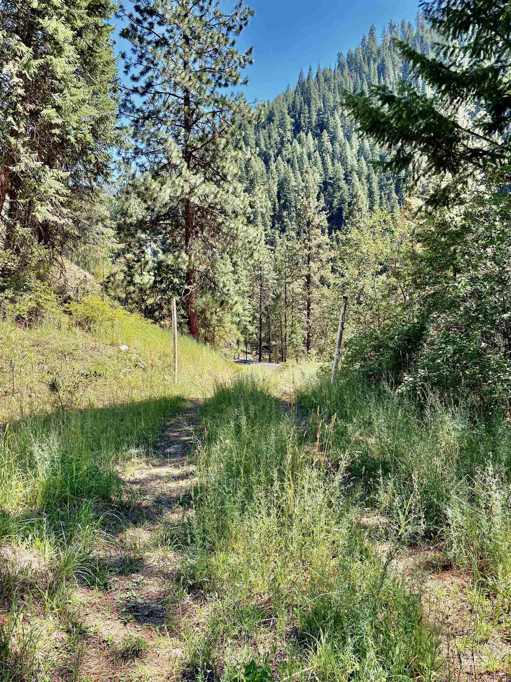4966 Highway 95 Property Photo 15