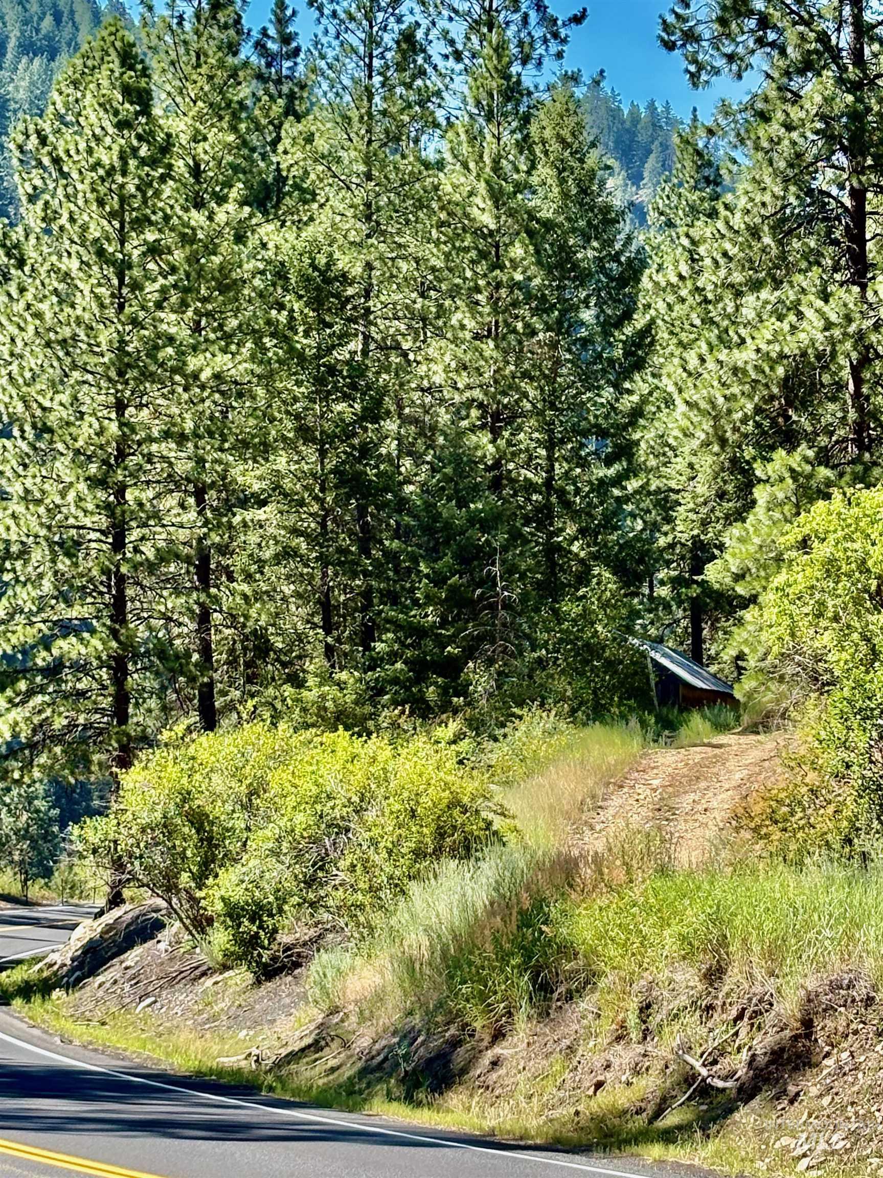 4966 Highway 95 Property Photo 18
