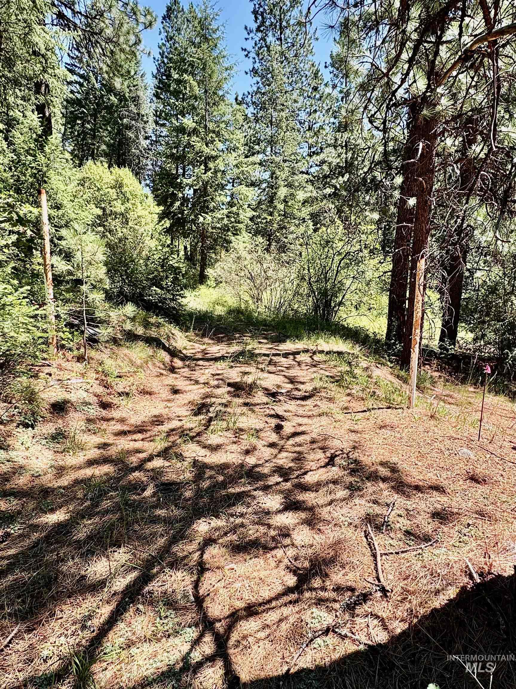 4966 Highway 95 Property Photo 20