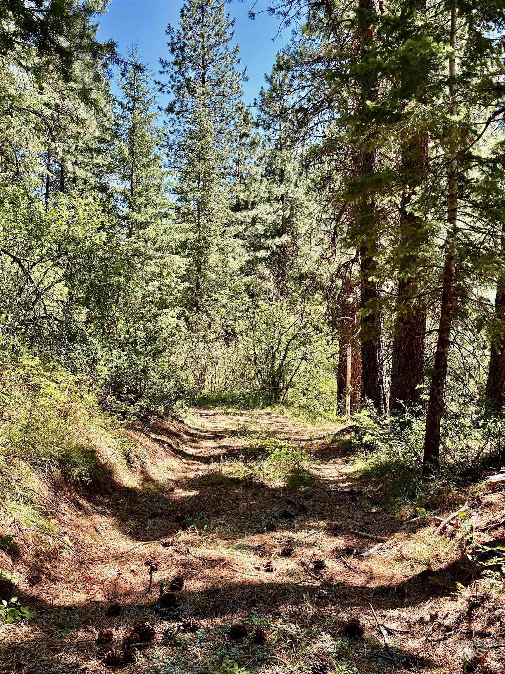 4966 Highway 95 Property Photo 21