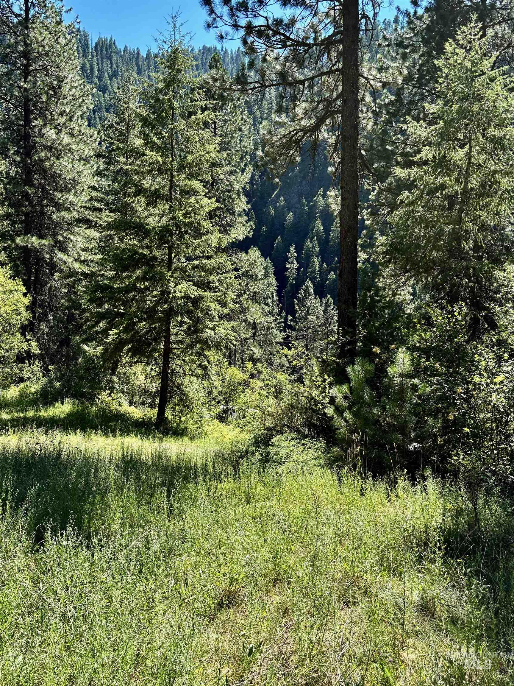 4966 Highway 95 Property Photo 22