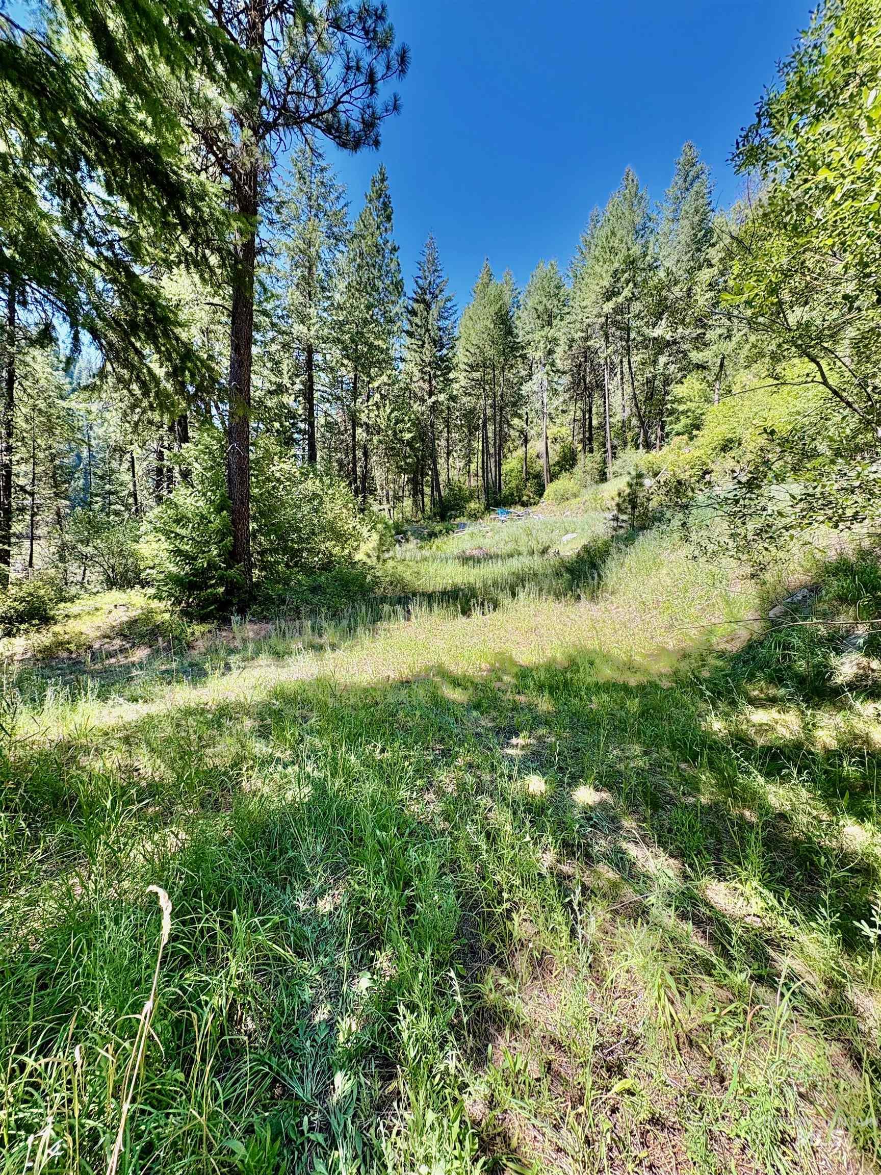 4966 Highway 95 Property Photo 24