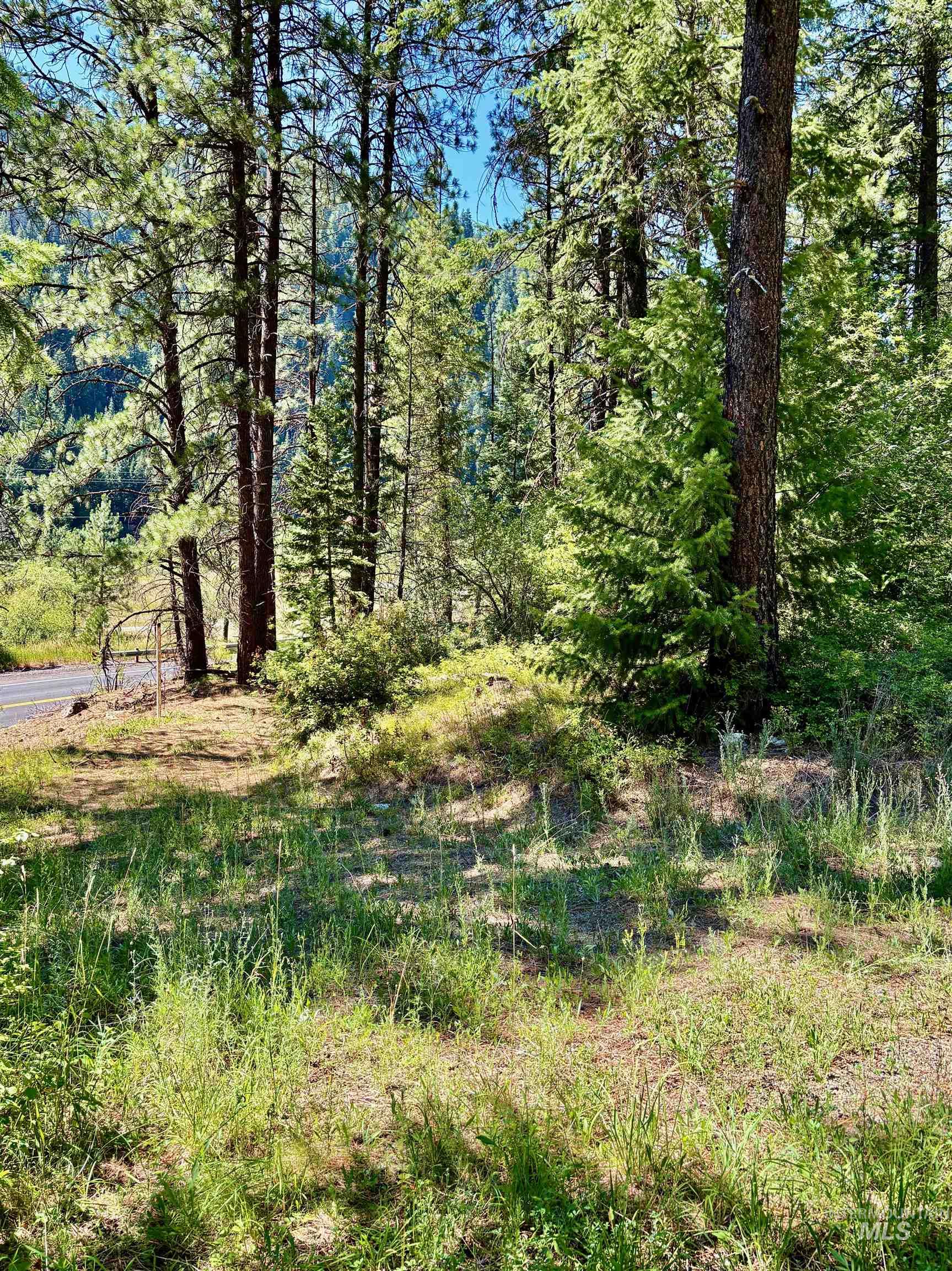4966 Highway 95 Property Photo 27