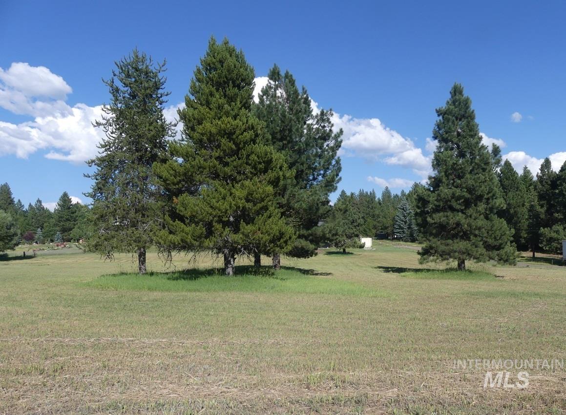 495 S Samson Trail Property Photo 4