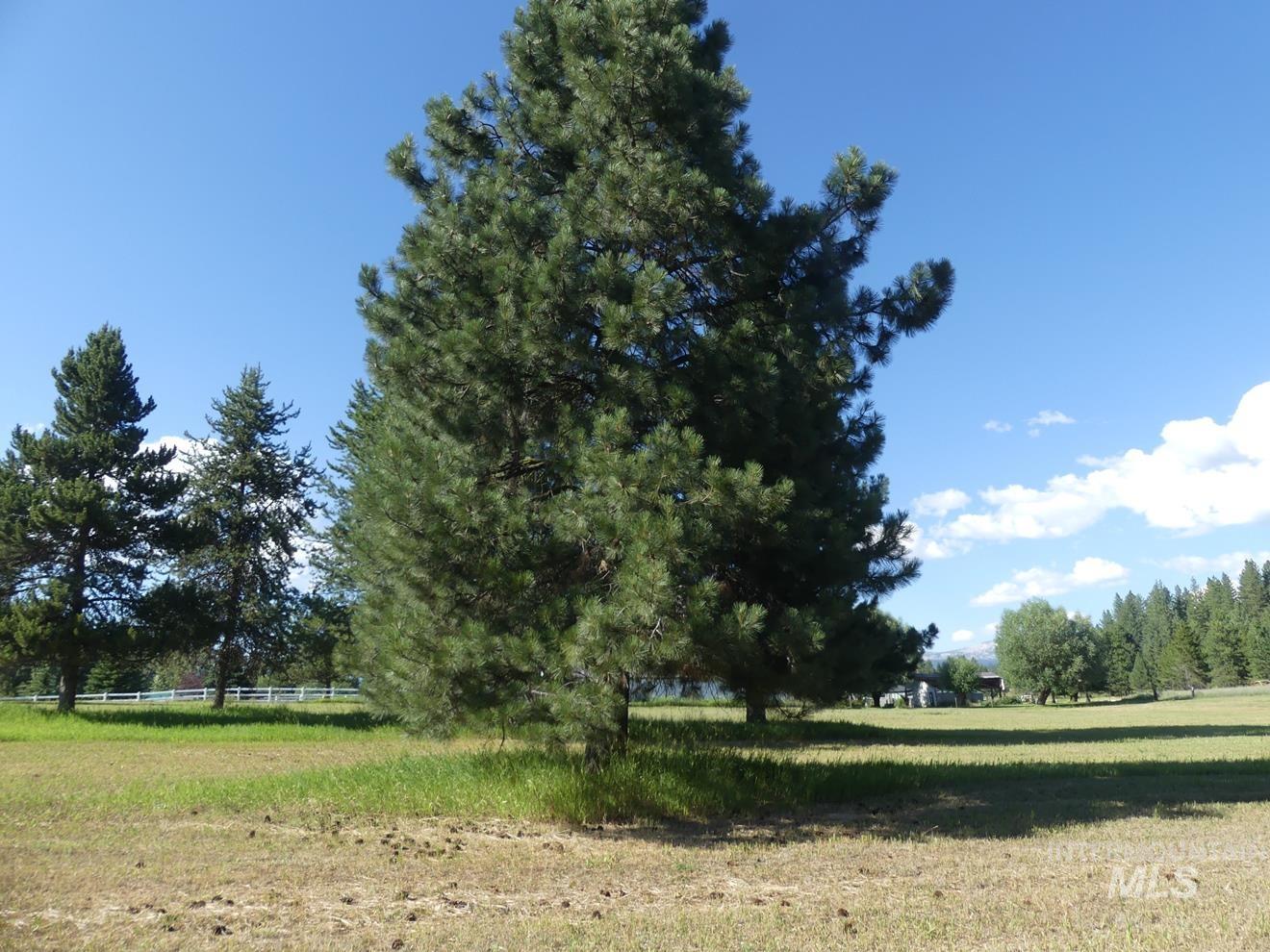 495 S Samson Trail Property Photo 14