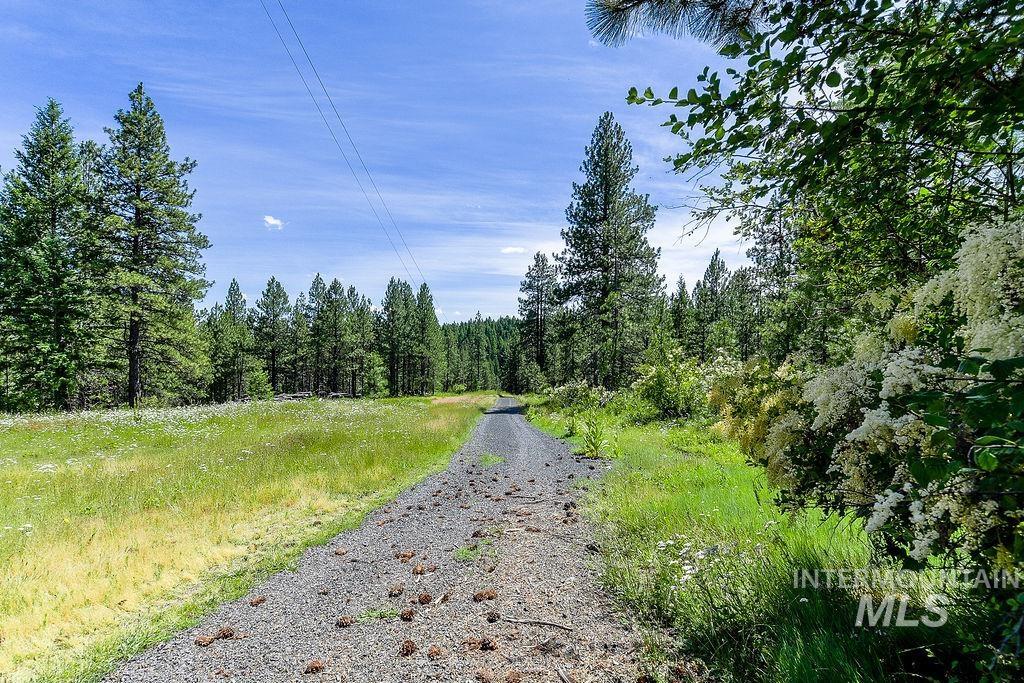 1040 Felton Creek Rd Property Photo 16