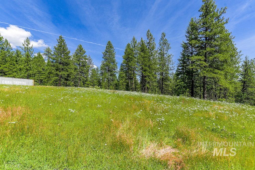 1040 Felton Creek Rd Property Photo 17