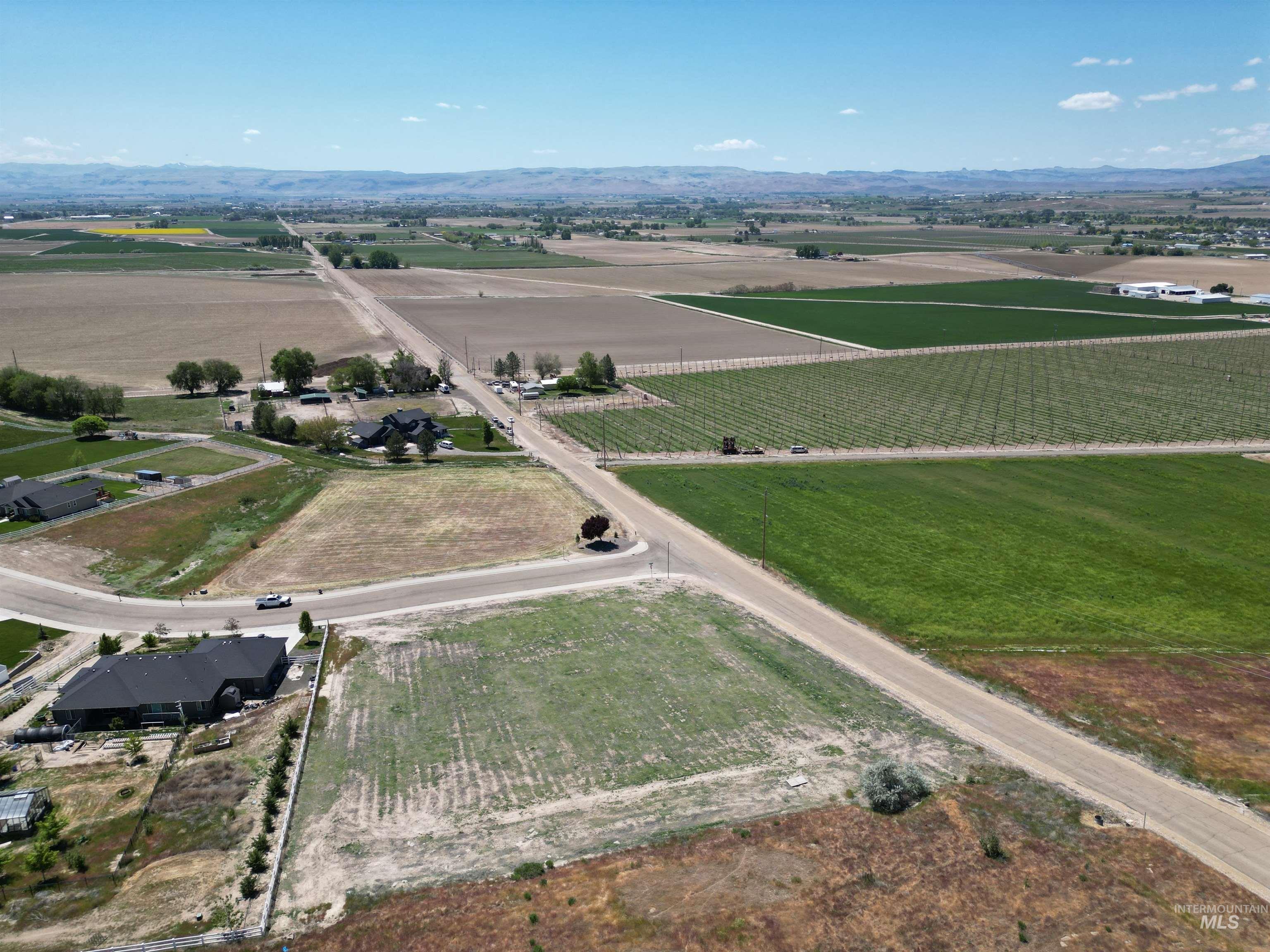 20216 Silver Spur Property Photo 3