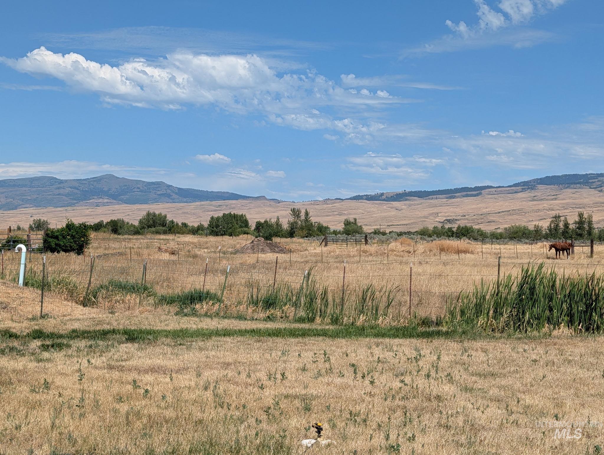 804 Indian Valley Rd. Property Photo 5
