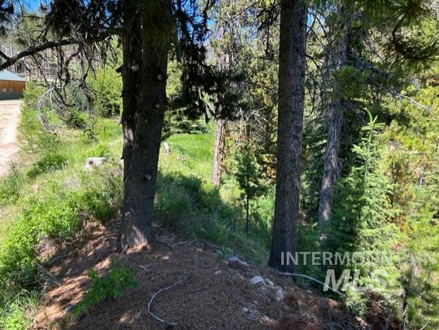 107 Edmonson Dr Property Photo 34