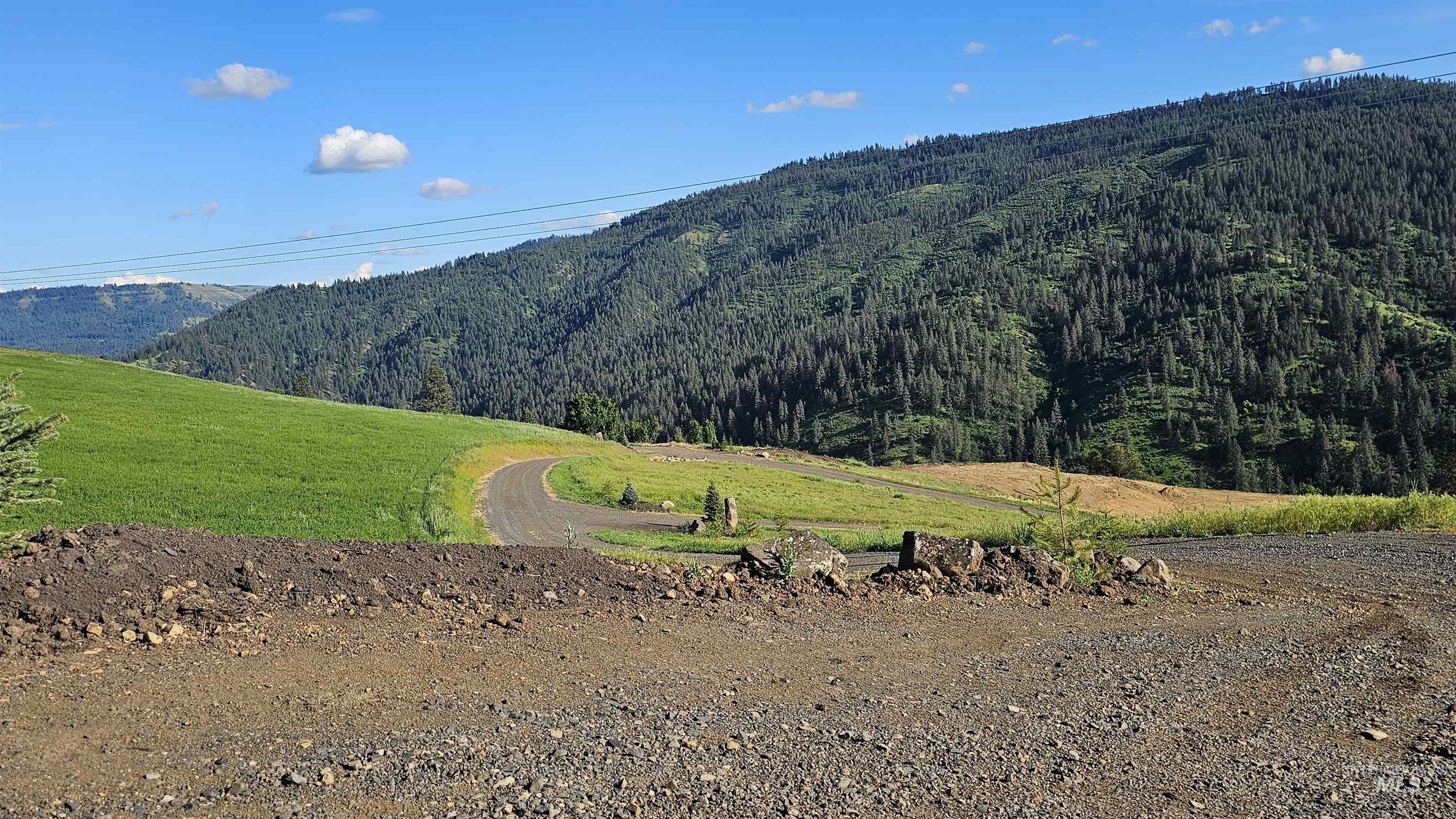 Tbd Quiet Hills Lane, Lot 1 Property Photo 8