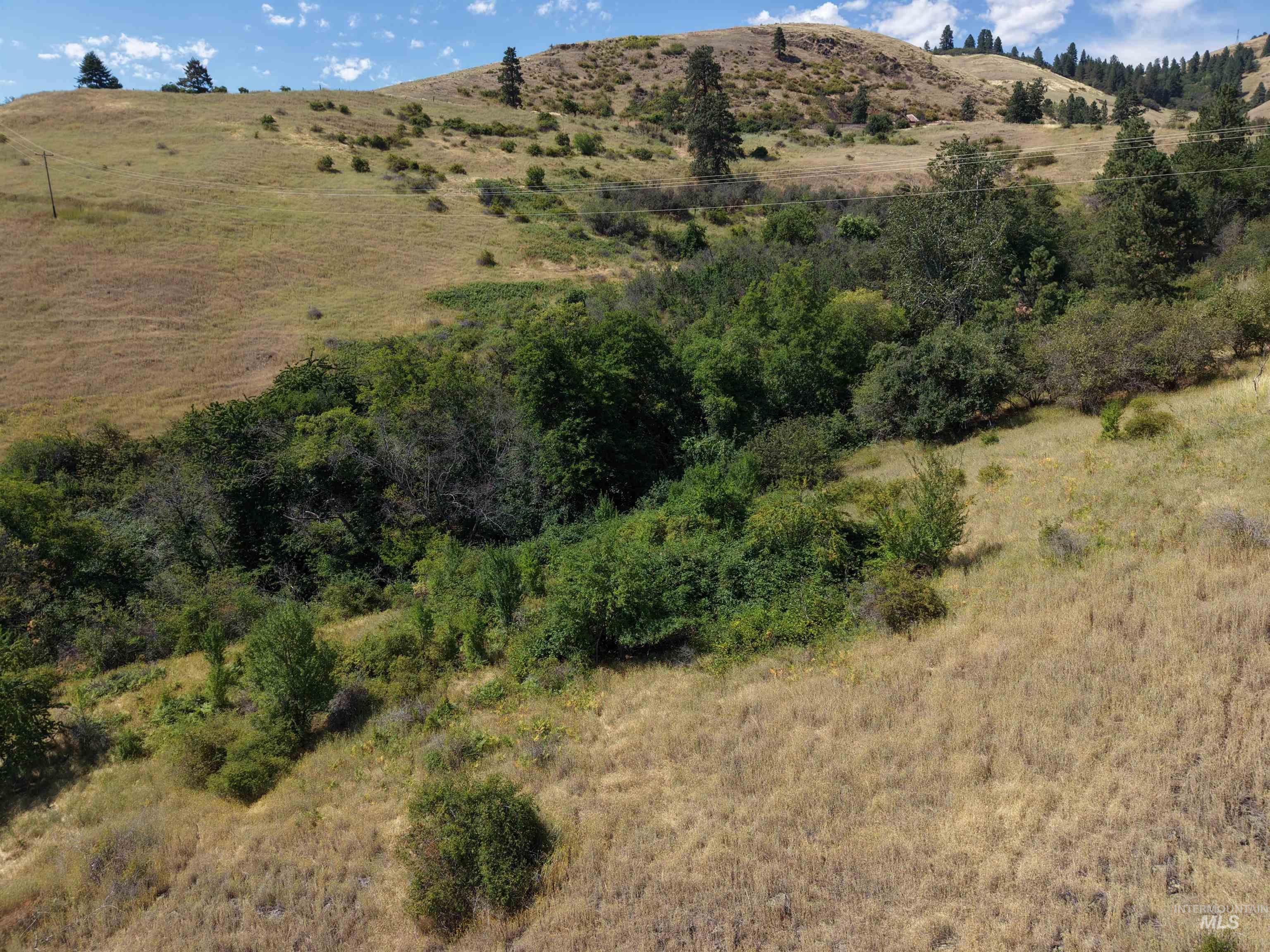 Tbd Quiet Hills Lane, Lot 1 Property Photo 25