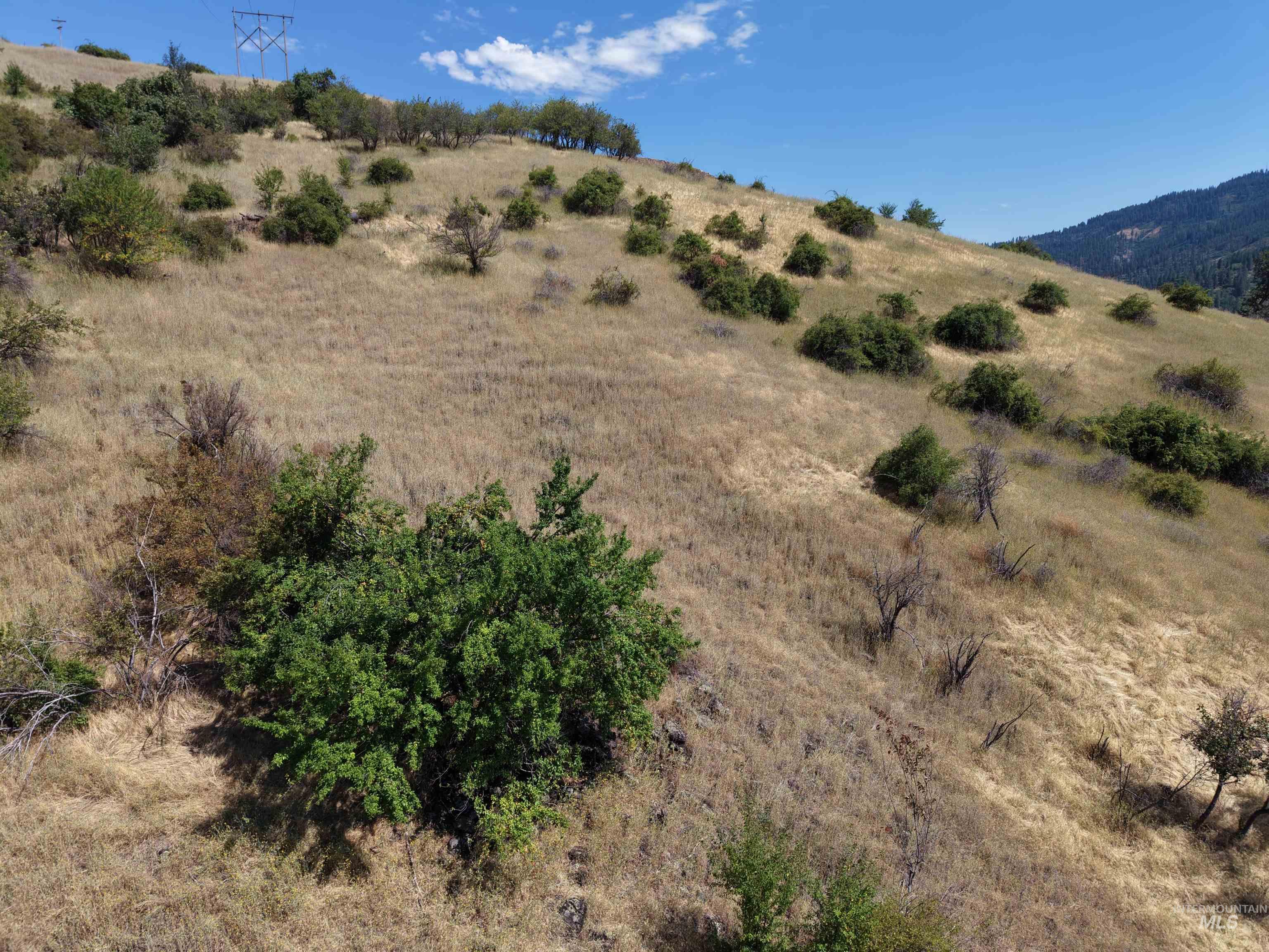 Tbd Quiet Hills Lane, Lot 1 Property Photo 26