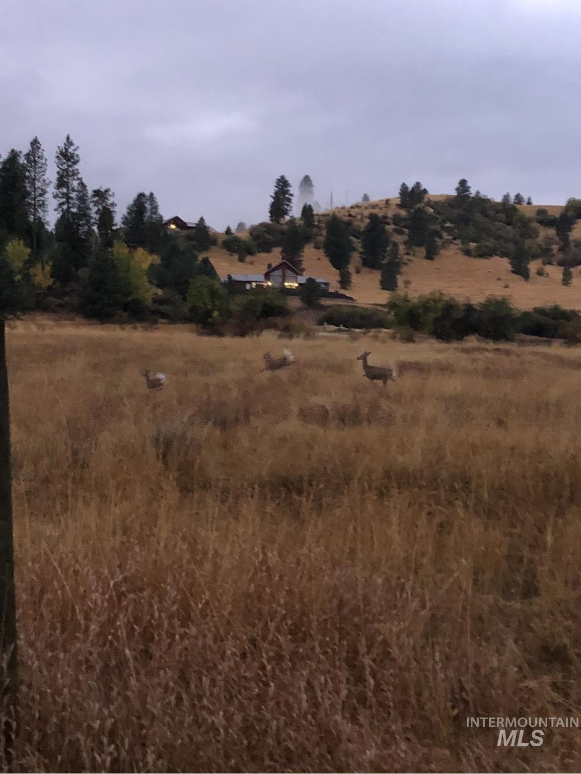 Lot 31 Cross Timber Loop Property Photo 12