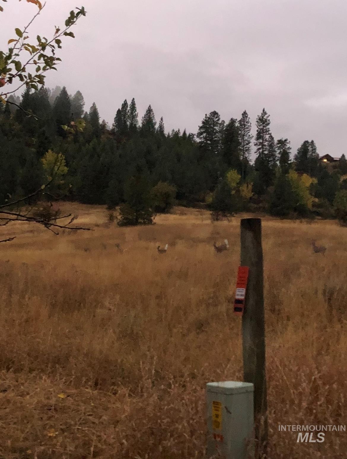 Lot 31 Cross Timber Loop Property Photo 13