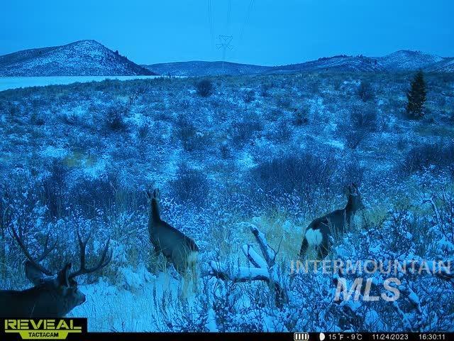 Tbd Tbd Property Photo 10