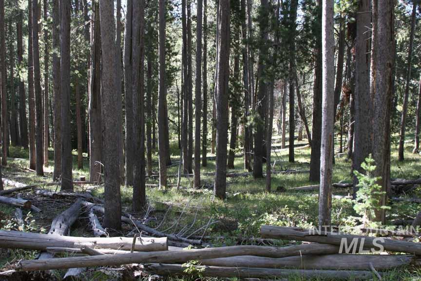 Tbd Tbd Property Photo 11
