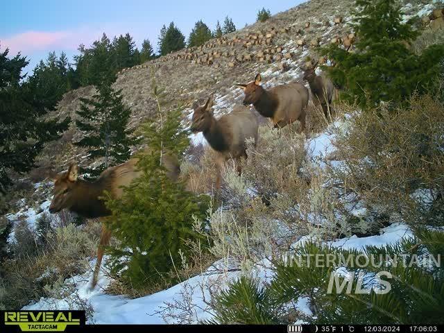 Tbd Tbd Property Photo 12