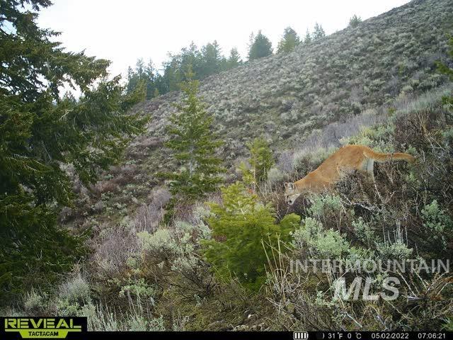 Tbd Tbd Property Photo 14