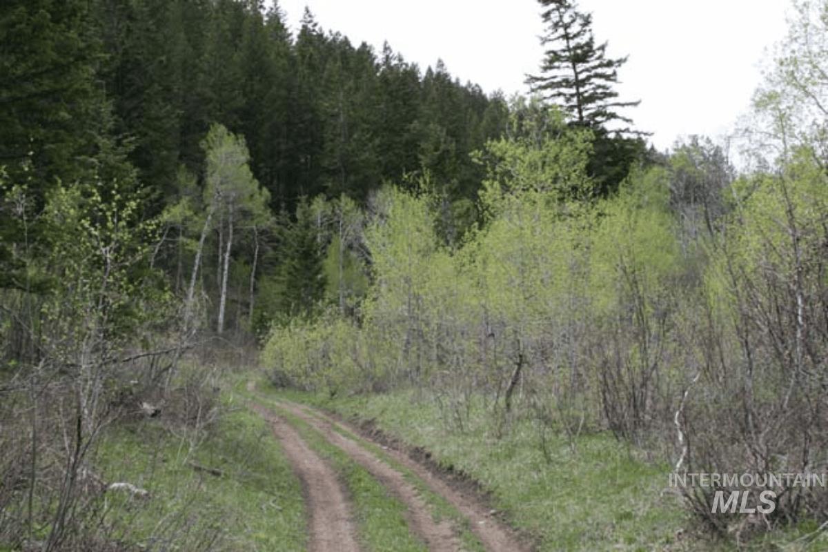 Tbd Tbd Property Photo 15