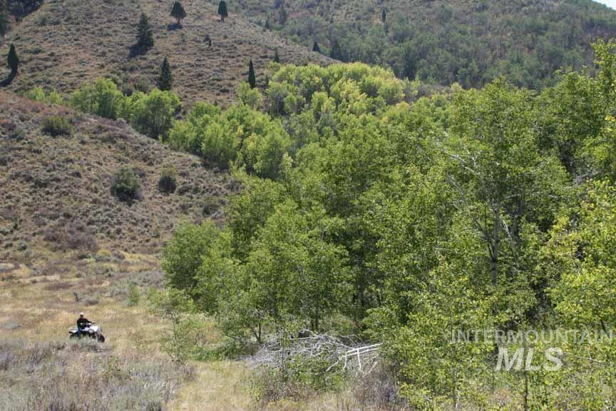 Tbd Tbd Property Photo 21