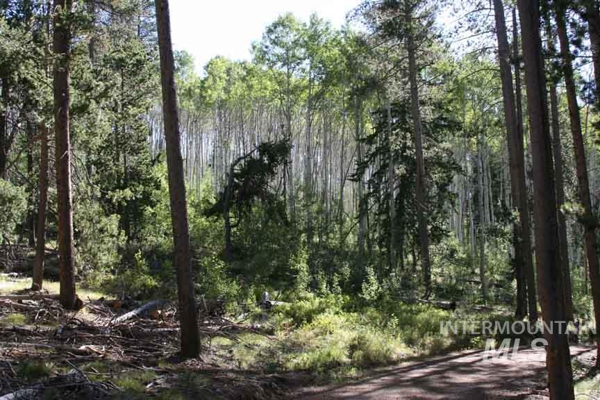 Tbd Tbd Property Photo 27