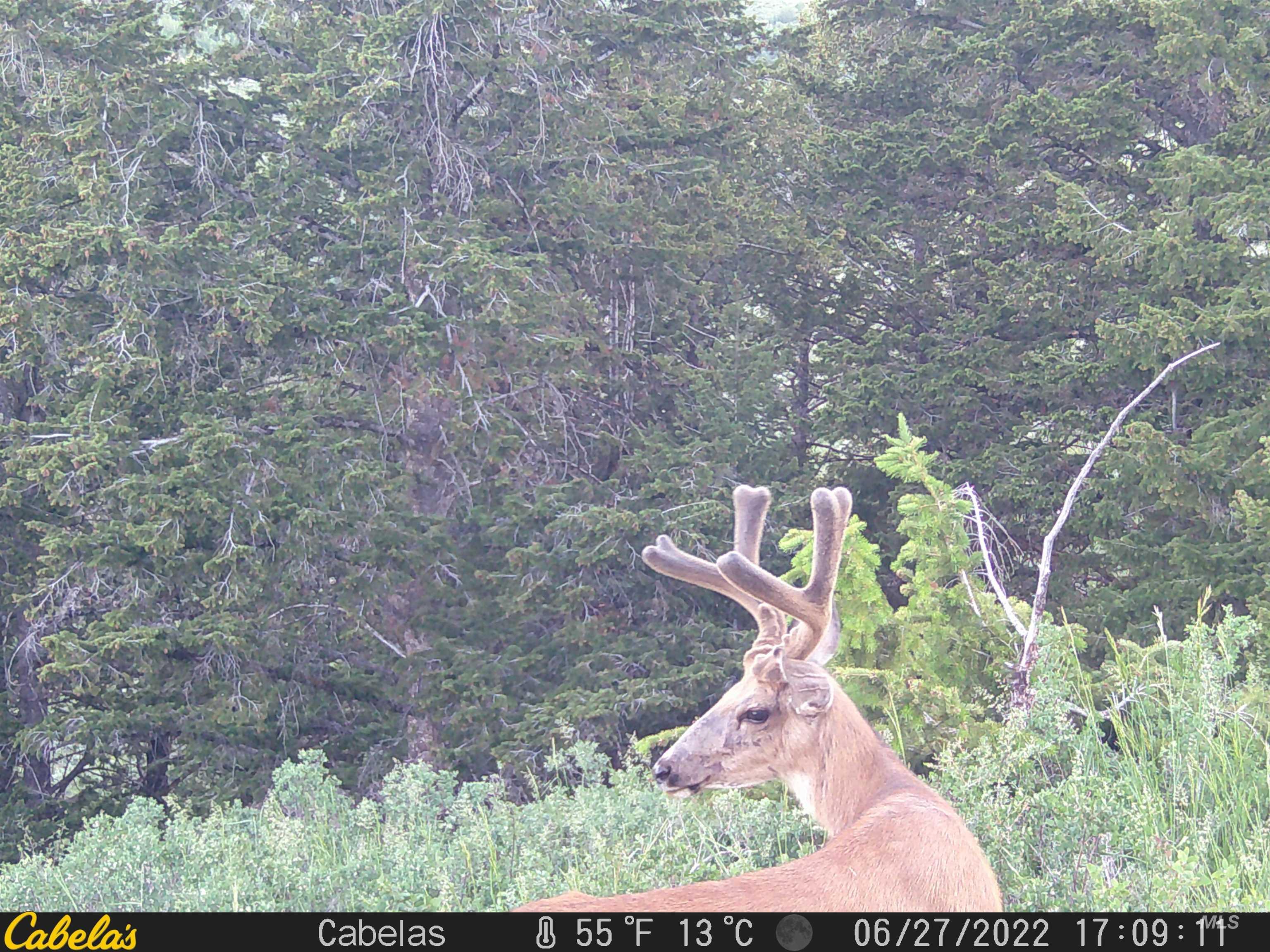 Tbd Tbd Property Photo 40