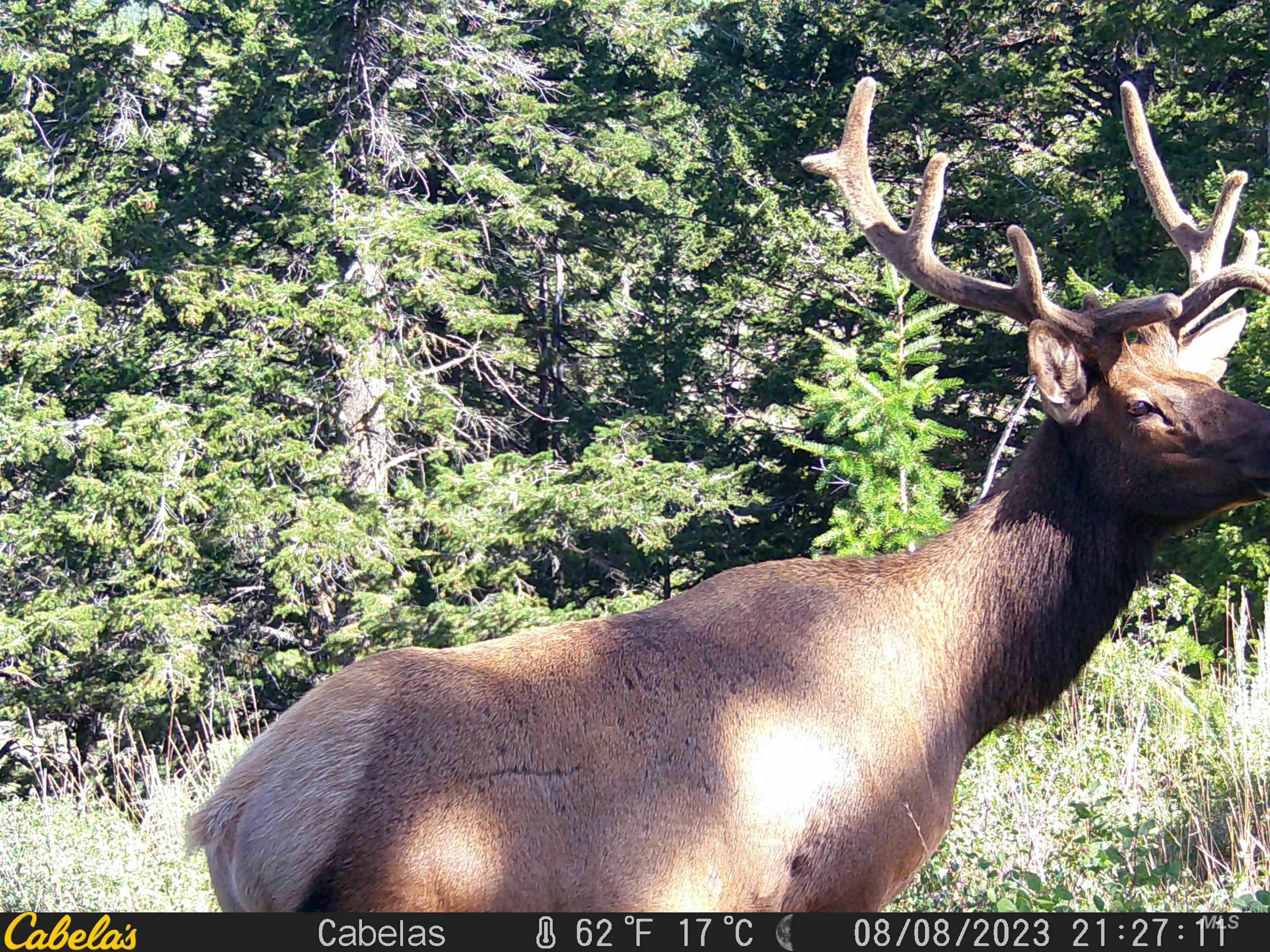 Tbd Tbd Property Photo 41