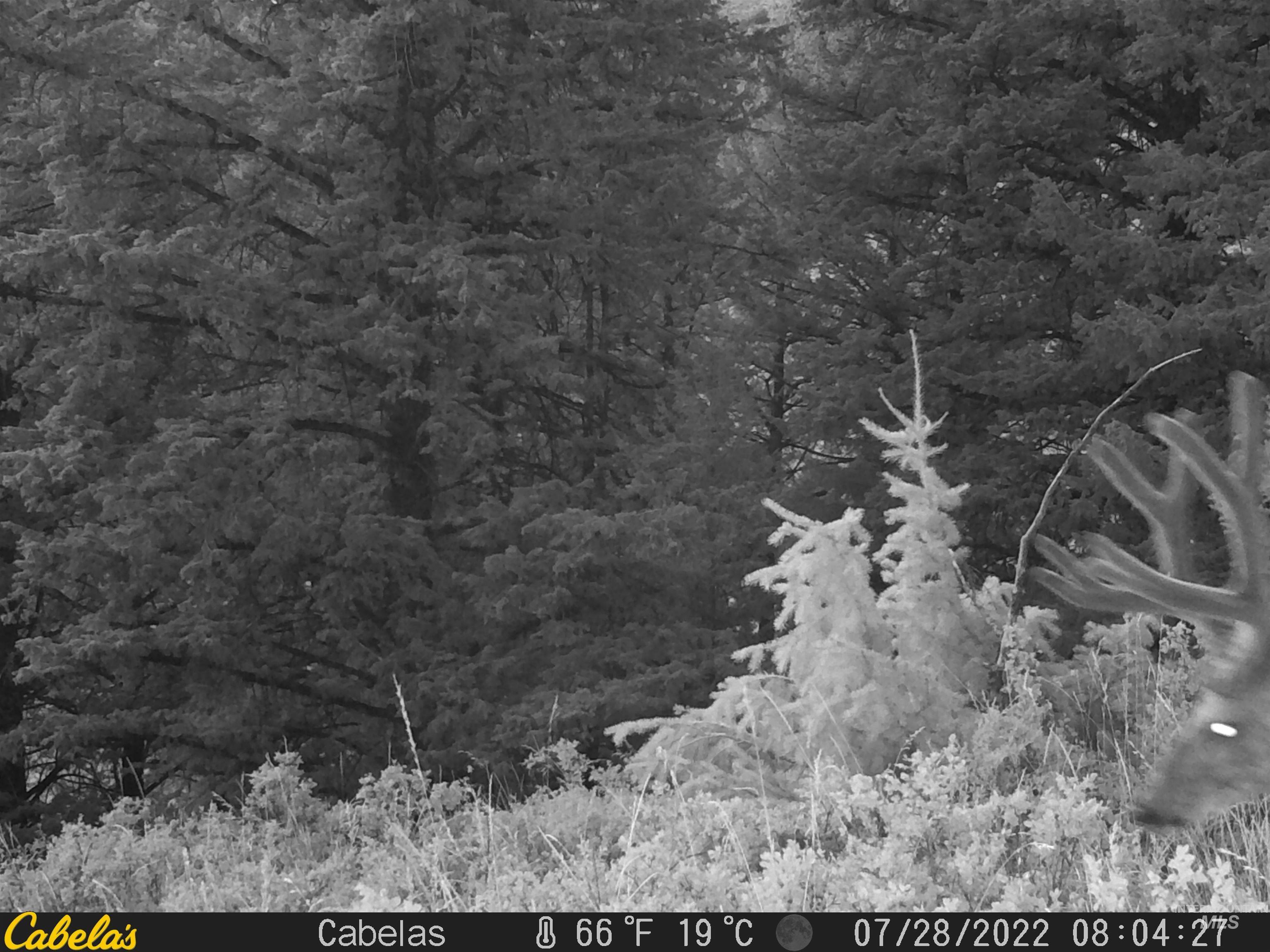 Tbd Tbd Property Photo 42