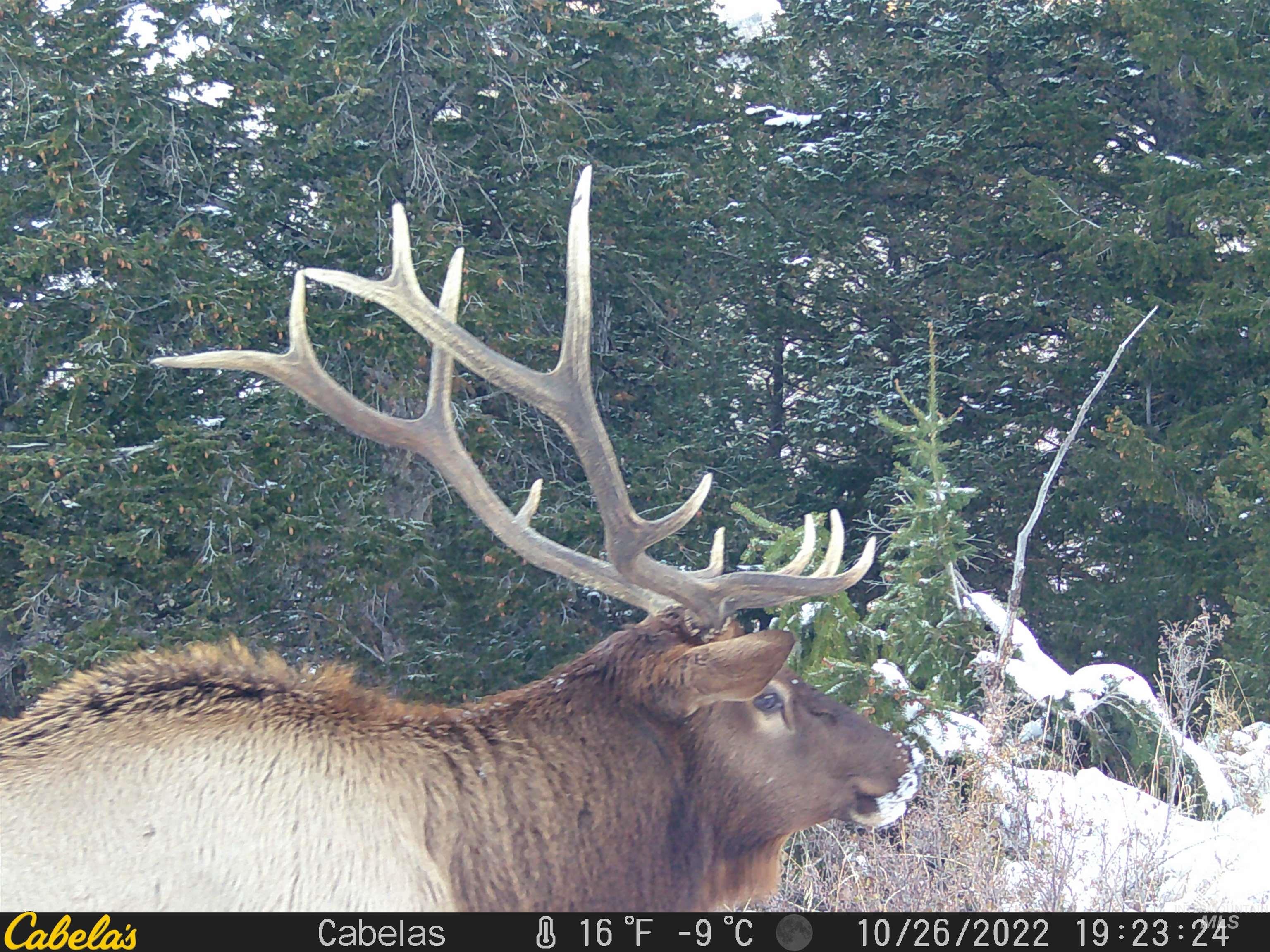 Tbd Tbd Property Photo 43