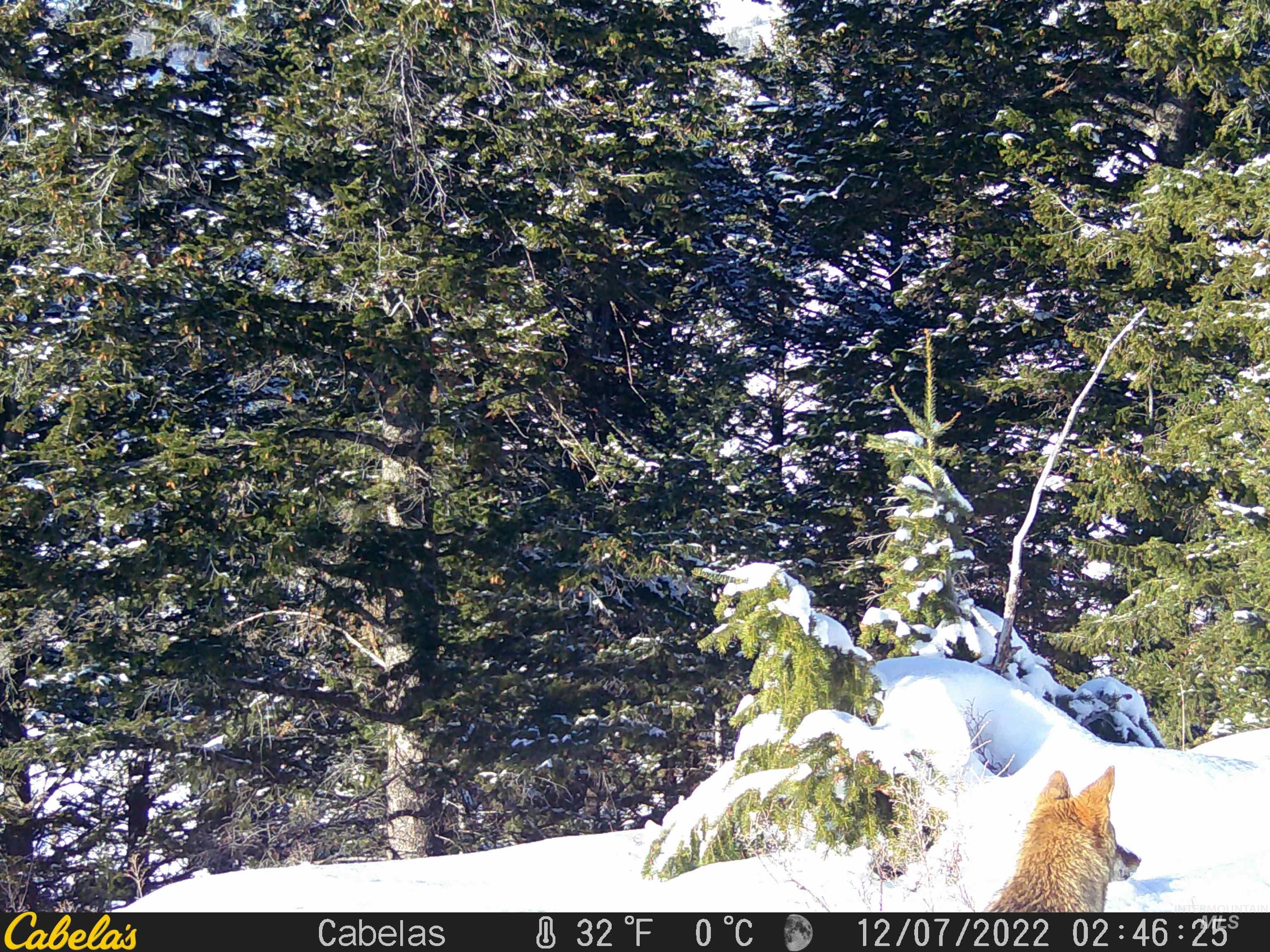 Tbd Tbd Property Photo 45