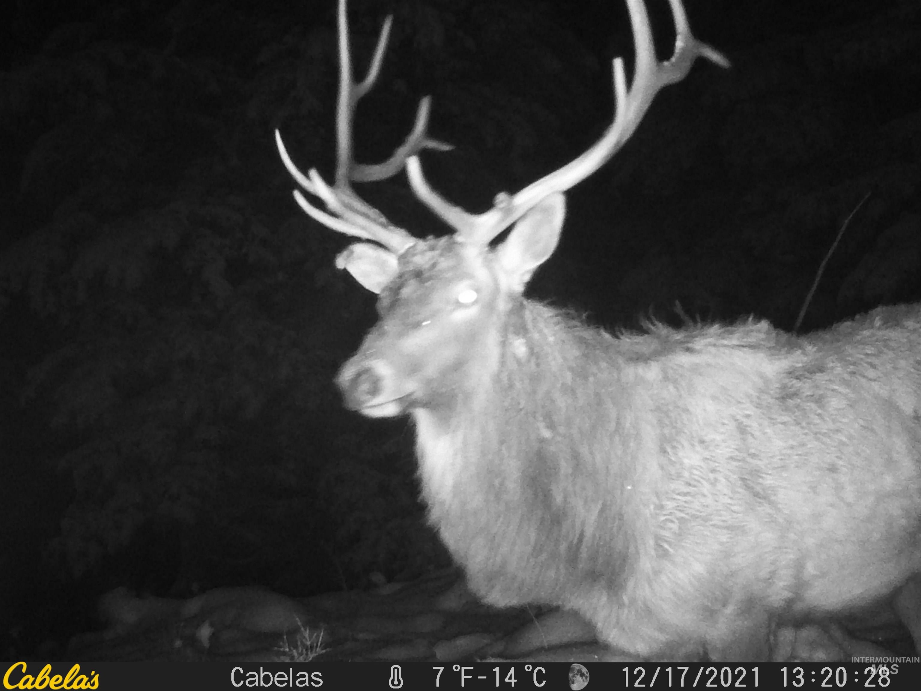 Tbd Tbd Property Photo 46