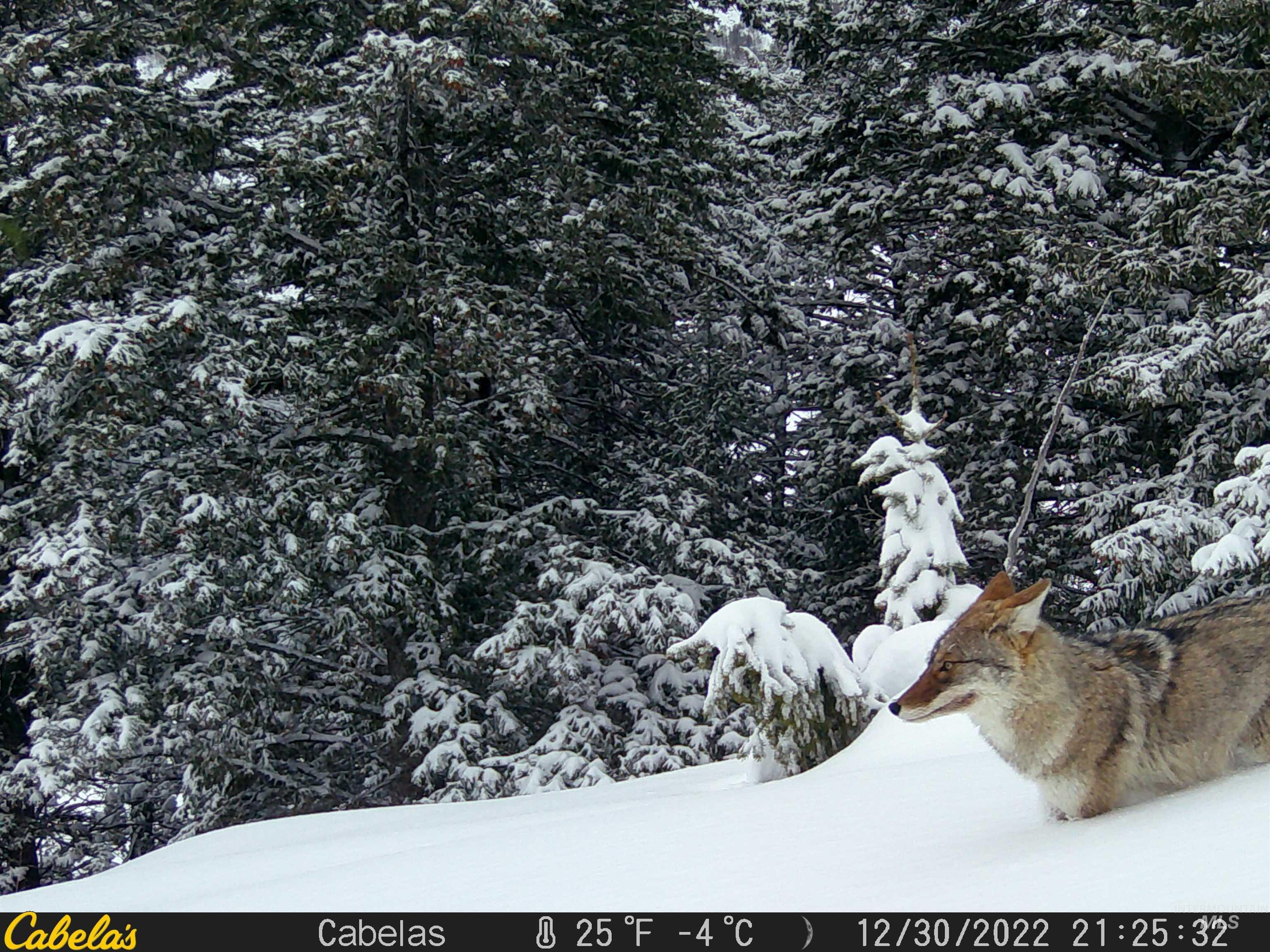 Tbd Tbd Property Photo 48